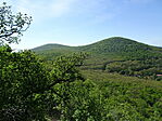 DSC07993