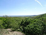 DSC08005