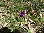 DSC08006
