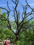 DSC08009
