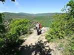 DSC08010