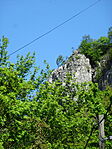 DSC08016