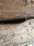 IMG_20260402_135630
