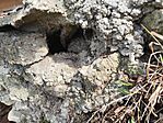IMG_20260402_140242