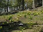 P1890065