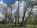 IMG_3134
