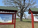 IMG_2332