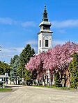 IMG_2280