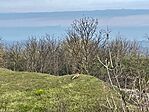 IMG_2296