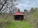 IMG_2305