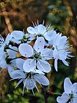 IMG_20260405_175739