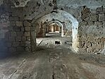 IMG_5454