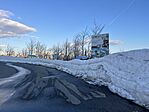 IMG_5533