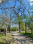 2026 04 08 Kisszállás-Ruzsa (AK) (50)