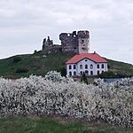 IMG_20260408_114751