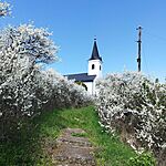 IMG_20260408_114335