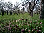 IMG_20260403_141326_319