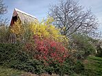 IMG_20260403_142310_469