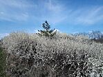 IMG_20260403_143808_615