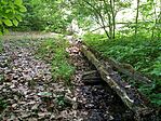 IMG_20260428_130811_638