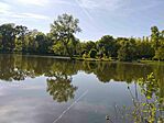 IMG_20260427_165439