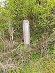 IMG_20260428_142039