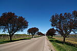 IMG_6570