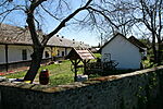 IMG_6573