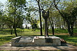 IMG_6597