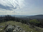 IMG_9305
