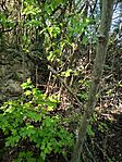 IMG_20260426_171914