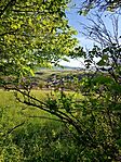 IMG_20260426_172208