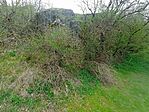 IMG_20260413_140756