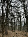 IMG_7615