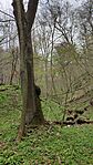IMG_20260404_124300