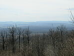 IMG_2127