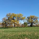 20260405_080657