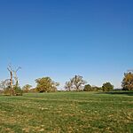 20260405_080701