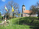 IMG_2218