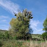 20260419_105230
