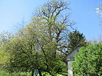 IMG_2564