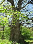 IMG_2569