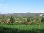IMG_2668