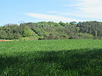 IMG_2669