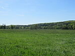 IMG_2959
