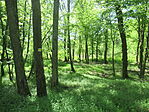 IMG_2974