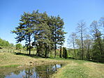 IMG_3019