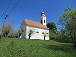 IMG_3080