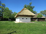 IMG_2872