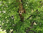 IMG_20260429_104749